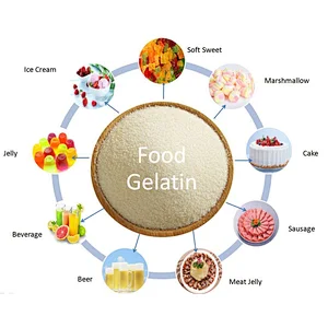 henan E-KING Food Grade Ingredients Halal Kosher gelatin Beef skin bone Gelatine 120 160 180 bloom